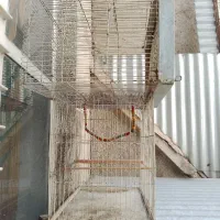 قفس پرنده