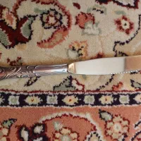 چاقوی میوه خوری استیل اصل