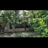 اجاره-باغچه