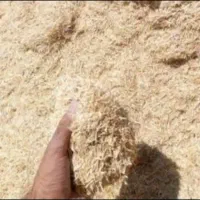 کاه که گندم ابی دیم کاموا