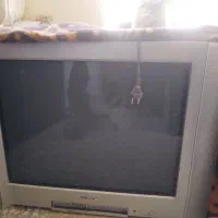 تلوزیون