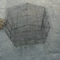 قفس|لوازم جانبی حیوانات|بیرجند, |دیوار