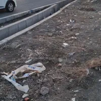 زمین-برخیابان-دوکله-تهاتر-با-واحد-در-تهران