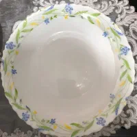 بشقاب اکرو‌پال هر دست 3تومن