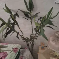 گل بامبو مصنوعی
