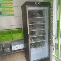 فریزر ایستاده ویخچال ۶۰