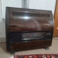 بخاری آدنیس