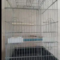 قفس بزرگ