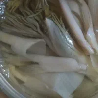 ترشی بیلهر