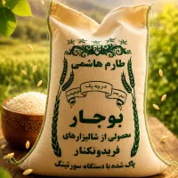 برنج طارم هاشمی فریدونکنار