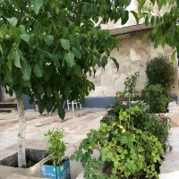 باغشهری احرار سیاخ آب لوله کشی برق