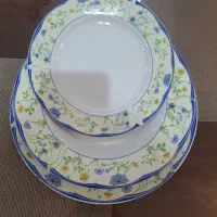 ظروف پذیرایی چینی گل آبی
