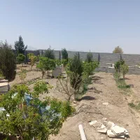 چهار-دیواری