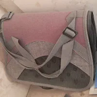 باکس گربه