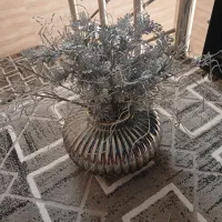 گل و گلدان
