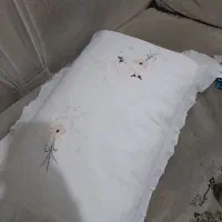 12 عدد بالشت پر
