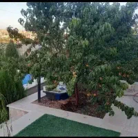 400-متر-باغچه-دماوند-سندتک-برگ-بنای-نقلی