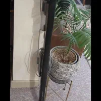 جاروشارژی درما نو با کارتن