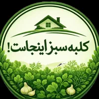 نیروی خانم جهت کار در سبزیکده