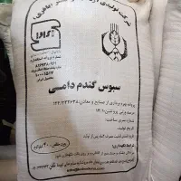 سبوس دامی درجه یک با قیمت استثنایی