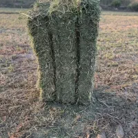 فروش پرس یونجه