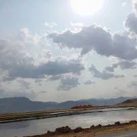 جویای کار