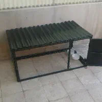 گنجه مرغ کبوتر