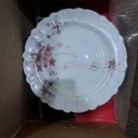 سرویس ارکوپال ۲۵ پارچه با دوپشقاب اشانتیون