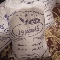 برنج کامفیروزی