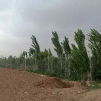 ۵۰۰ متر زمین (باغچه) با سند تک برگ و آب لوله کشی