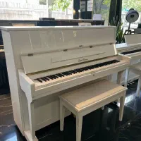 پیانو طرح اکوستیک اقتصادی طرح ویژه|پیانو، کیبورد، آکاردئون|مشهد, آزادشهر|دیوار