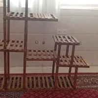 جاگلی