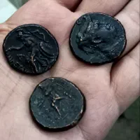 سکه|کلکسیون سکه، تمبر، اسکناس|شیراز, تحویلی|دیوار