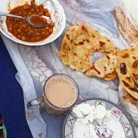 استخدام نیروی آشپز