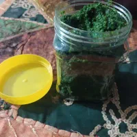 فروش سبزی دَلال اصل مازندران