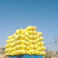 کاه گندم
