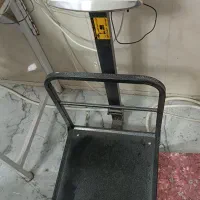 ترازو ۳۰۰ کیلویی