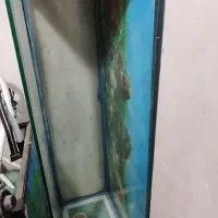 آکواریوم