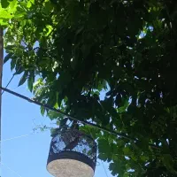 دوتا سحره (خ)