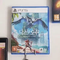 دیسک کارکرده Horizon Forbidden West PS5