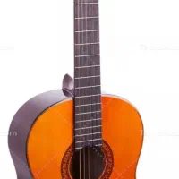فروش گیتار نو