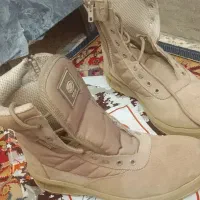 گازپوتین کمدا