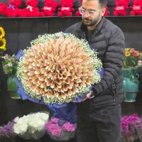 گل دیبا
