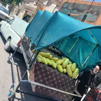 چرخ میوه فروشی