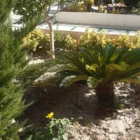 کلیه کارهای باغبانی درکوهپایه
