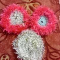 فروش انواع اسکاچ و لیف