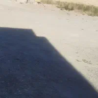 زمین مسکونی شمالی اندیشه کوی آذران