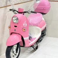 دنیای پاکشتی های صورتی