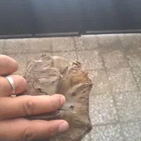 لنت ترمز ام وی ام ۳۱۵