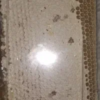 فروش عسل
